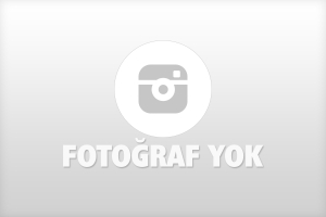 Bursa’da Otomobil Tarlaya Uçtu: 1 Yaralı Bursa’da Otomobil Tarlaya Uçtu: 1 Yaralı